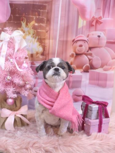 20241227大吉くん